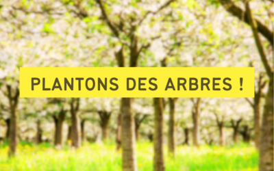 PLANTONS DES ARBRES