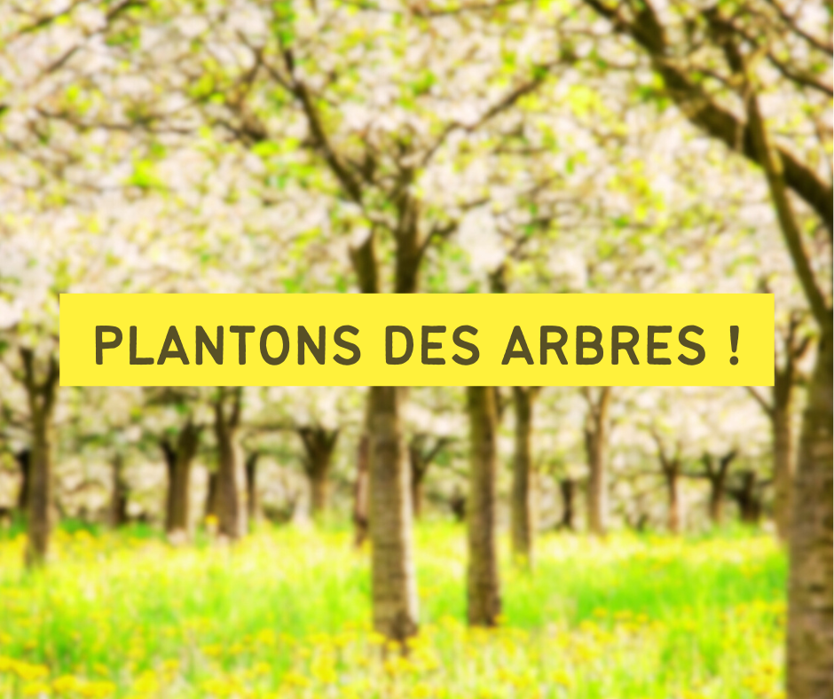 PLANTONS DES ARBRES Site officiel de la commune de Saint Germain Nuelles — free download