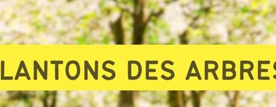 RAPPEL : PLANTONS DES ARBRES