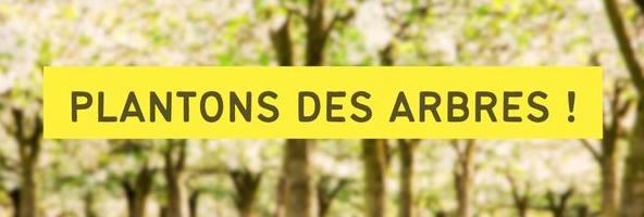 PLANTONS DES ARBRES : COMMANDES À RÉCUPÉRER CE DIMANCHE 24