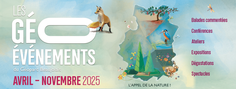 [ Les Géo-événements 2025 ]