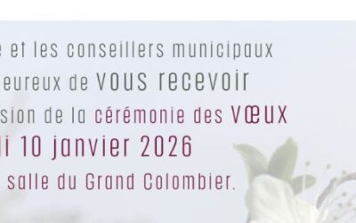 [VŒUX DU MAIRE : RDV SAMEDI 10 JANVIER !]