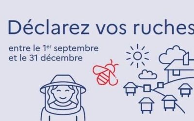 [RAPPEL : DÉCLAREZ VOS RUCHES JUSQU’AU 31 DÉCEMBRE PROCHAIN