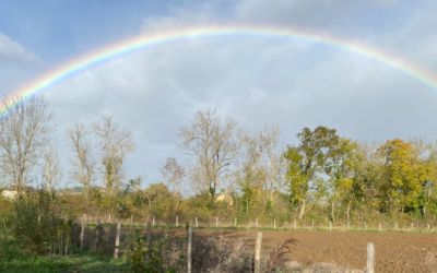 [INFO ASSO : Relais Arc en Ciel au Cabarssy ce dimanche]